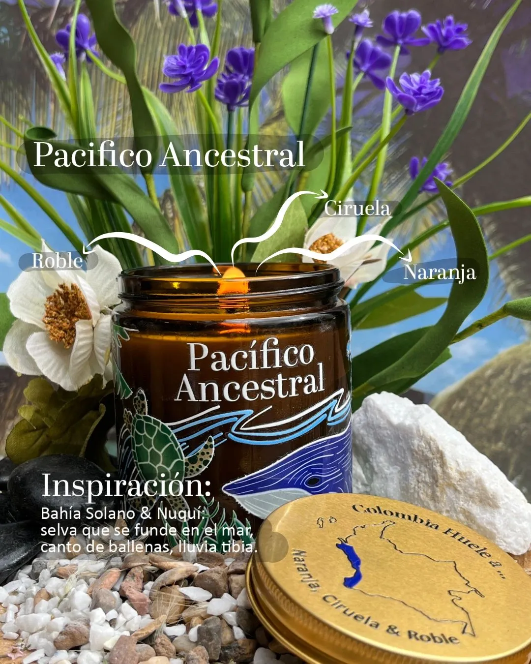 Vela aromática Pacifico Ancestral